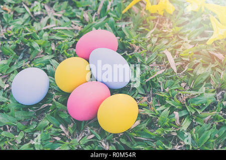 Top view of easter eggs on green grass. Holidays concept. Stock Photo