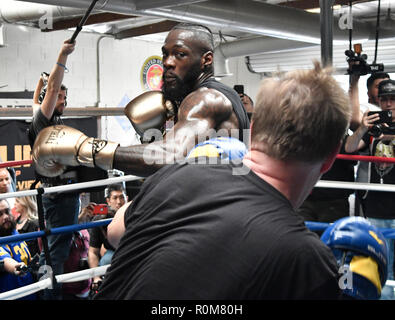 11-5-18. Santa Monica CA. WBC World Champion Deontay Wilder talks to the media at the Churchill gym Monday. Deontay Wilder gets ready for in his highly anticipated WBC Heavyweight World Championship against Tyson Fury on December 1 from STAPLES Center in Los Angeles live on SHOWTIME PPVÂ¨.Photo by Gene Blevins/ZumaPress Credit: Gene Blevins/ZUMA Wire/Alamy Live News Stock Photo