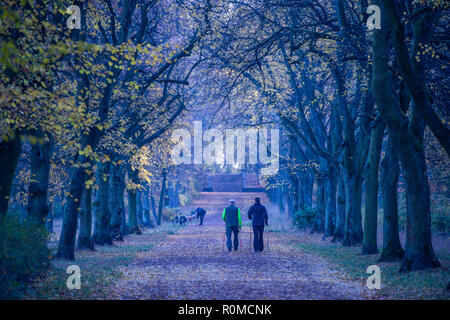 Berlin, Germany. 06th Nov, 2018. People walk in the morning grey through the Volkspark Schönholzer Heide. Credit: Paul Zinken/dpa/Alamy Live News Stock Photo