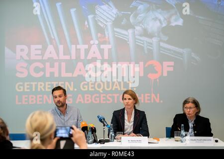 Oldenburg, Germany. 06th Nov, 2018. Jan Peifer (l-r), chairman of the board of German animal protection offices, Davina Bruhn, lawyer, and Claudia Preuß-Ueberschär, veterinarian, are at the press conference of the German animal protection office to possible offences against the animal protection law in a beef slaughterhouse. The animal rights activists show video material that they recorded with hidden cameras in September and October. Credit: Mohssen Assanimoghaddam/dpa/Alamy Live News Stock Photo