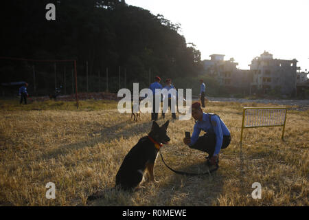 Kathmandu, Nepal. 6th Nov, 2018. A Police man takes a picture of his trained dog during ''Kukkur Tihar'' the dog worshipping festival on the second day of the five-day long Tihar festival, also called Diwali at Police Dog Training School in Kathmandu, Nepal on Tuesday, November 06, 2018. Credit: Skanda Gautam/ZUMA Wire/Alamy Live News Stock Photo