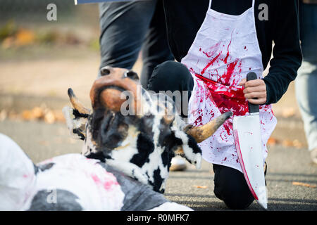 Oldenburg, Germany. 06th Nov, 2018. A man dressed as a butcher with a bloody apron and a knife in his hand symbolically kills a person dressed as a cow. Activists of the German animal protection office demonstrate before an Oldenburger slaughterhouse, after secretly turned video recordings from the slaughterhouse possible offences against the animal protection law to the public guessed. Credit: Mohssen Assanimoghaddam/dpa/Alamy Live News Stock Photo