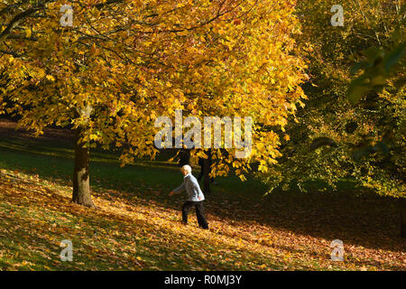 Brighton UK 6th November 2018 - A walker enjoys a stroll through the colourful Autumn leaves in Queens Park Brighton on a beautiful warm sunny afternoon Credit: Simon Dack/Alamy Live News Stock Photo