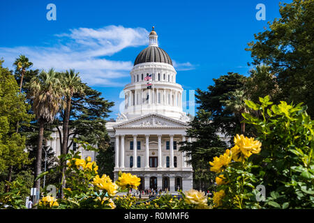California State Capitol building, Sacramento, California; sunny day; beautiful yellow roses in the foreground Stock Photo