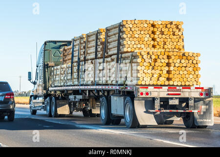 September 23 2018 Sacramento / CA / USA - Truck transporting peeled logs on the interstate in Northern California Stock Photo