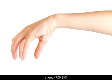 Hand pose of a woman holding out her left hand - Stock Photo [87660634] -  PIXTA