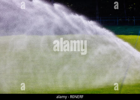 Sprinkler system working on fresh green grass on football (soccer) stadium Stock Photo