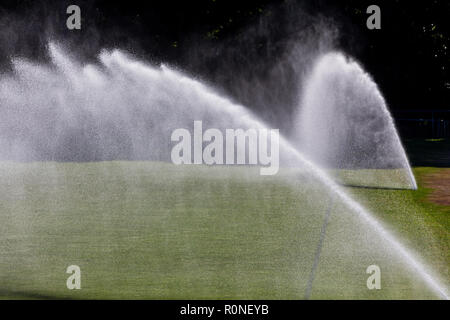 Sprinkler system working on fresh green grass on football (soccer) stadium Stock Photo