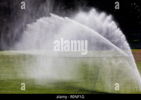 Sprinkler system working on fresh green grass on football (soccer) stadium Stock Photo