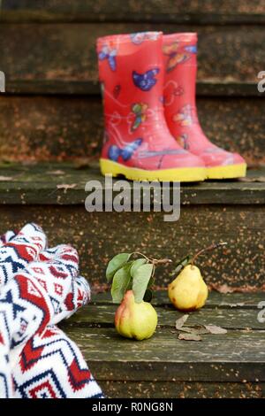 Autumn fruits on a vintage old wooden staircase. Autumn mood, warm clothes. Life style. Porch of the old house. Red  Rubber boots. Stock Photo