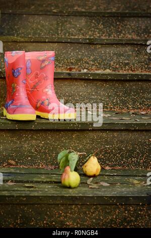Autumn fruits on a vintage old wooden staircase. Autumn mood, warm clothes. Life style. Porch of the old house. Red  Rubber boots. Stock Photo