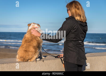 A blonde border collie mix sitting on a wall at the beach with her owner petting her on a bright, sunny day and the blue ocean in the background and b Stock Photo