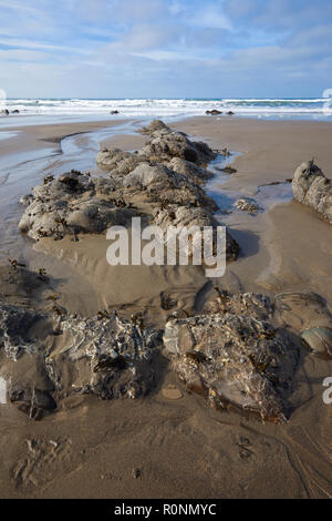 Rock shapes at low tide on the beach at Welcombe Mouth. Devon Stock Photo