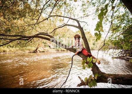 Boy sitting in a tree holding a stick, United States Stock Photo