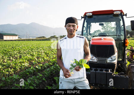 Japanese farmer standing in front of red tractor in a soy bean field, looking at camera. Stock Photo