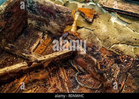 Italy Florence The exhumation on De' Medici Family Stock Photo