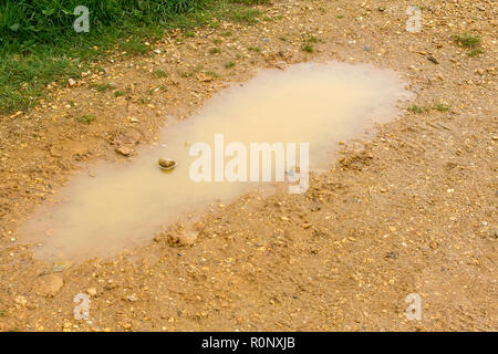 Puddle on a gravel footpath, UK Stock Photo