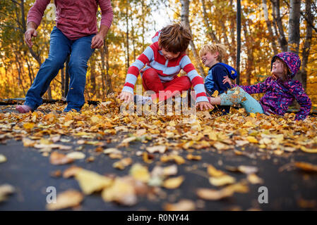 Three children with their father jumping on a trampoline covered in autumn leaves, United States Stock Photo