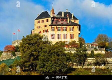 Castle of Menthon-Saint-Bernard, Château de Menthon, Menthon-Saint-Bernard, Haute-Savoie, France Stock Photo