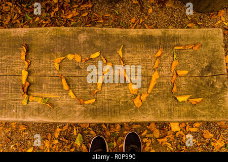 Love word symbol made of leaves in forest in autumn style with shoes Stock Photo