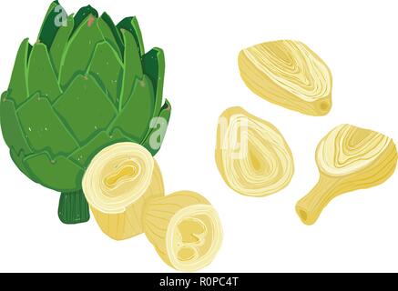 Vector painterly set of artichokes, raw and cooked; editable, scalable illustration isolated on a white background. Use it for recipes, restaurant men Stock Vector