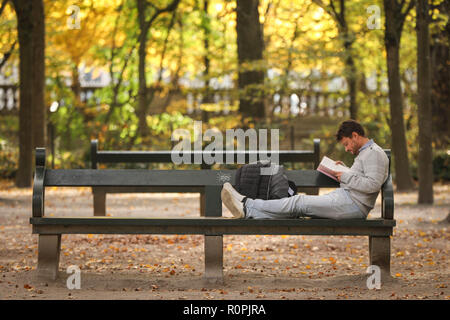 Brussels, Belgium. 6th Nov, 2018. A man reads a book in Brussels Park in Brussels, Belgium, Nov. 6, 2018. People went outdoors to enjoy autumn scenery in Brussels recently. Credit: Zheng Huansong/Xinhua/Alamy Live News Stock Photo