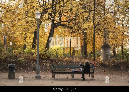 Brussels, Belgium. 6th Nov, 2018. A woman makes a video phone call in Brussels Park in Brussels, Belgium, Nov. 6, 2018. People went outdoors to enjoy autumn scenery in Brussels recently. Credit: Zheng Huansong/Xinhua/Alamy Live News Stock Photo