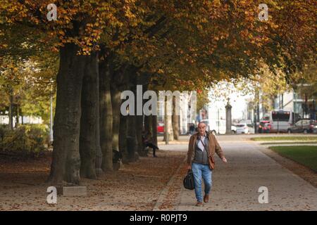 Brussels, Belgium. 6th Nov, 2018. A man walks in Brussels Park in Brussels, Belgium, Nov. 6, 2018. People went outdoors to enjoy autumn scenery in Brussels recently. Credit: Zheng Huansong/Xinhua/Alamy Live News Stock Photo