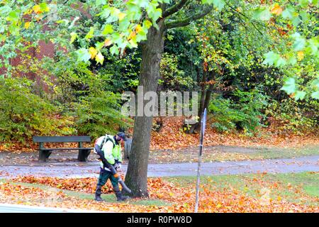 Symbol Jahreszeit Herbst Herbstwald Spaziergang Laub Herbstlaub