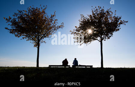 07 November 2018, Lower Saxony, Hannover: Two women sit under two trees in the midday sun. Photo: Julian Stratenschulte/dpa Stock Photo