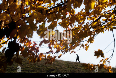 07 November 2018, Lower Saxony, Hannover: A man walks a dirt road with Nordic walking poles. Photo: Julian Stratenschulte/dpa Stock Photo