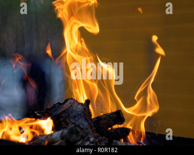 fire burns on wood in the grill, Russia Stock Photo