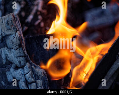 fire burns on wood in the grill, Russia Stock Photo