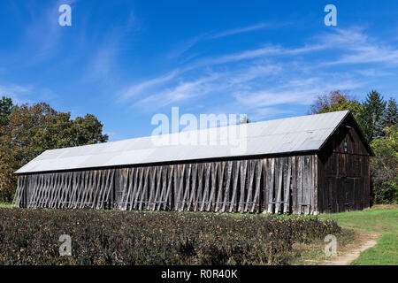 tobacco barn westfield ma A tobacco barn, South Deerfield, Massachusetts, USA Stock Photo