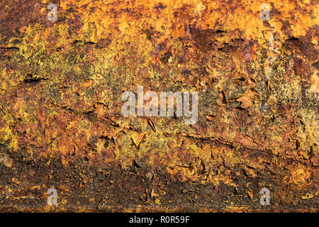 Rustic old buoy detail. Stock Photo