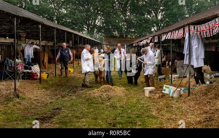 Shropshire, Shropshire/England-circa 2018  NOTE TO DESKS:  All images remain copyright.  Photo credit to read -  Rob Leyland. Stock Photo