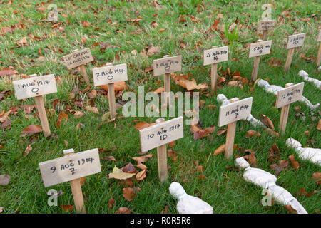 November 4, 2018: Picardy, France. The Lost Lives exhibition  commemorating the casualties on each day of the First World War. Created by artist Rob H Stock Photo