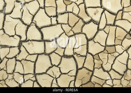 Clay soil burst open due to prolonged dryness, background image, Germany Stock Photo