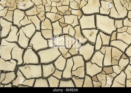 Clay soil burst open due to prolonged dryness, background image, Germany Stock Photo