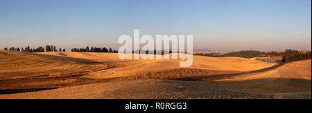 Palouse Panorama Stock Photo