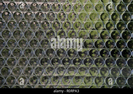 Mosaic of round green glasses or bottles Stock Photo