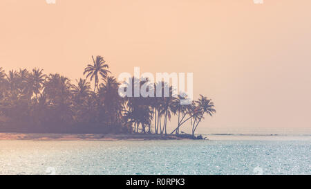 Moody topical beach background, palm trees and shine clear water surface. Perfect tropical destination background banner. Travel and tourism on beach Stock Photo