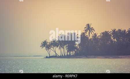 Moody topical beach background, palm trees and shine clear water surface. Perfect tropical destination background banner. Travel and tourism on beach Stock Photo