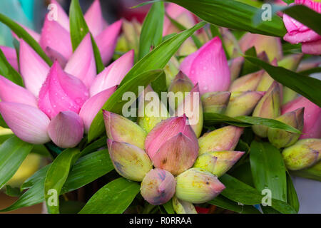 Traditional Vietnamese lotus buds offerings bunches in a shop Stock Photo