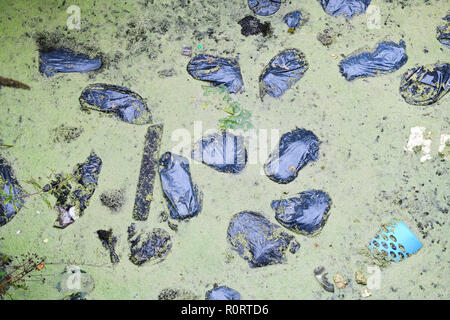 Rubbish which has been dumped in the a canal. The green coloured water is filled with black plastic bags of rubbish. Stock Photo