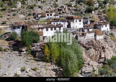 Buildings in Yugar village with piles of dung, wood and hay on the roofs - seen from Phugtal Gompa situated on the other side of Tsarap River, Zanskar Stock Photo