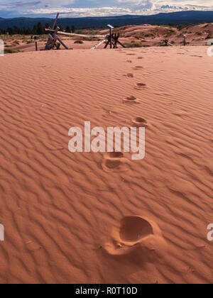 Footprints in the sand, Coral Pink Sand Dunes State Park, Kanab, Utah. Stock Photo