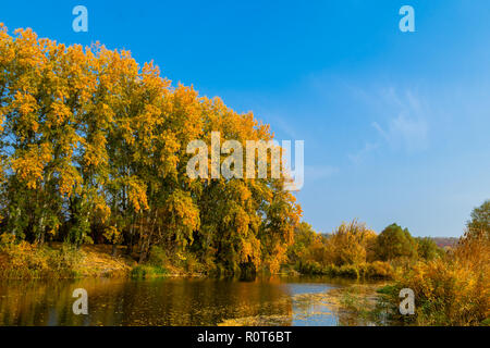 falling yellow leaves on the dark water by the river Stock Photo