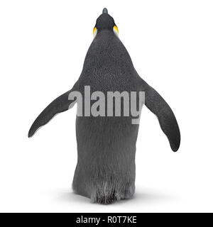 King penguin isolated on white. 3D illustration Stock Photo