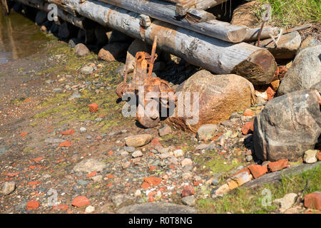 Detail of an old outboard motor lying around the marina Stock Photo